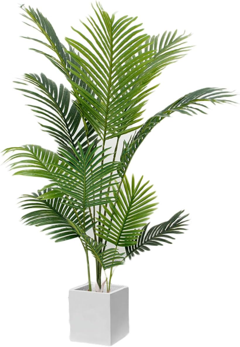 特価☆特大 エゴノキ株立3.6M(鉢底から) 特大 エゴノキ株立3.6M(鉢底から) 特価☆特大 エゴノキ株立3.6